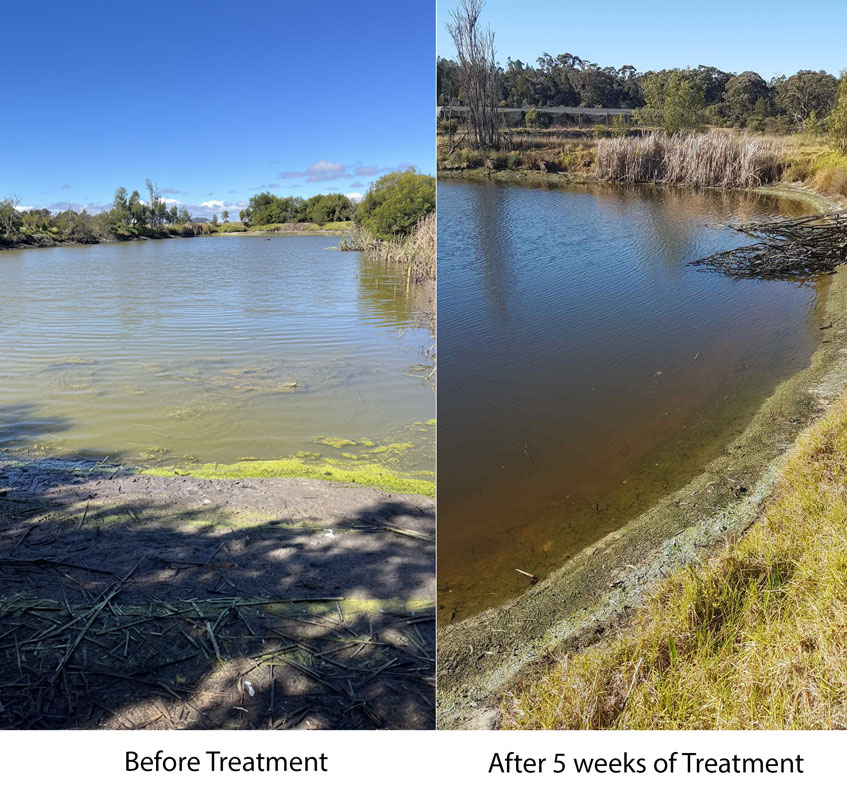 Pond Treatment Process